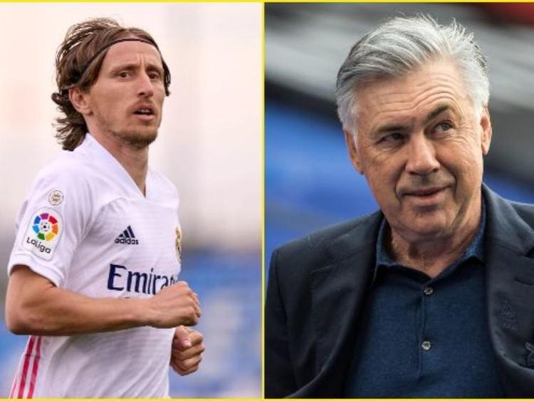 建立了一定 建立了一定